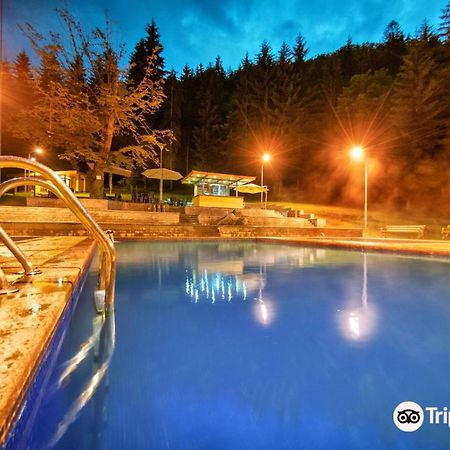 Day In Borjomi Apartment Exterior photo